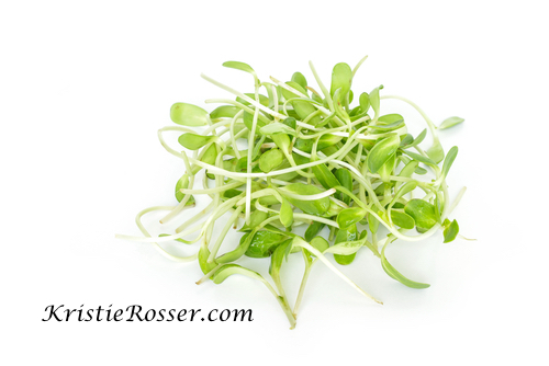 shutterstock_bean sprouts