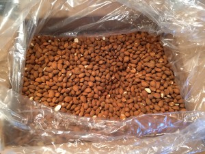almonds raw unpasturized