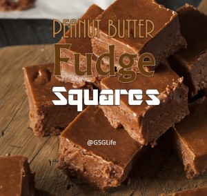 Recipe_GSGLife peanut butter fudge squares