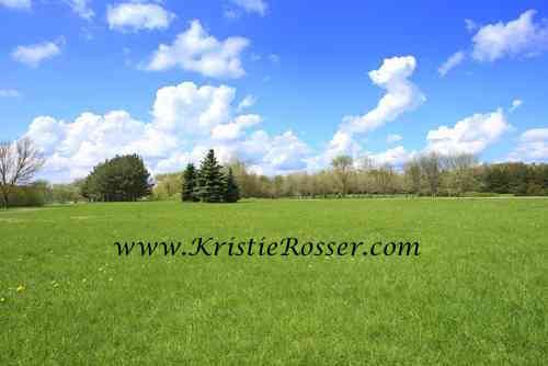 shutterstock_grass and field and sky_419663425